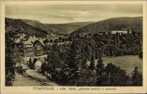 Ak Schwarzburg in Thüringen, Hotel weißer Hirsch, Schloss