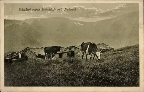 Ak Le Hohneck Lothringen Vosges, Schiessrot, Spitzköpfe