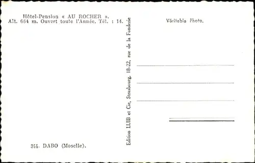 Ak Dagsburg Dabo Lothringen Moselle, Panorama