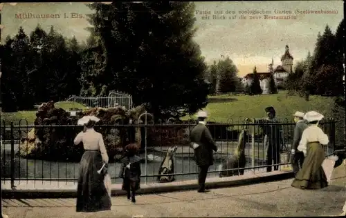 Ak Mulhouse Mülhausen Elsass Haut Rhin, Partie aus dem zoologischen Garten, Restauration, Robben