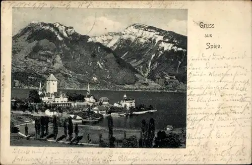 Ak Spiez am Thuner See Kanton Bern, Panorama