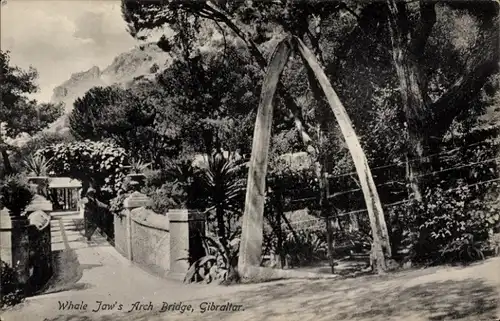 Ak Gibraltar, Whale Jaw's Arch Bridge
