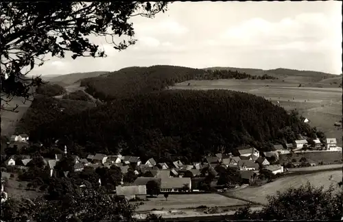 Ak Deifeld Medebach im Sauerland, Panorama vom Ort, Hügellandschaft, Wald