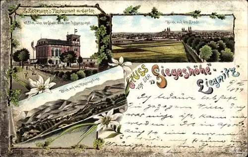 Litho Legnica Liegnitz Schlesien, Siegeshöhe, L. Lehmanns Restaurant, Panorama