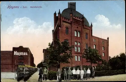 Ak Chojnów Haynau Schlesien, Malzfabrik