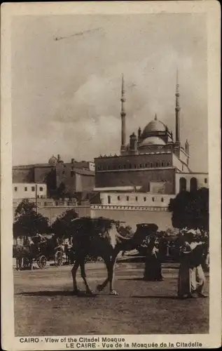 Ak Cairo Kairo Ägypten, Citadel Mosque, Kamel