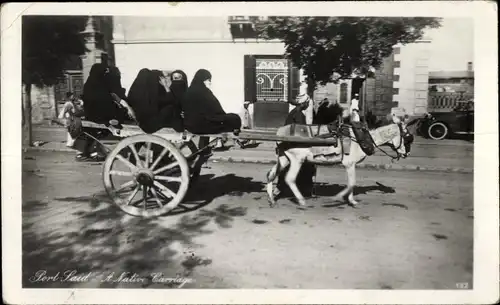 Ak Port Said Cairo Kairo Ägypten, A Native Carriage