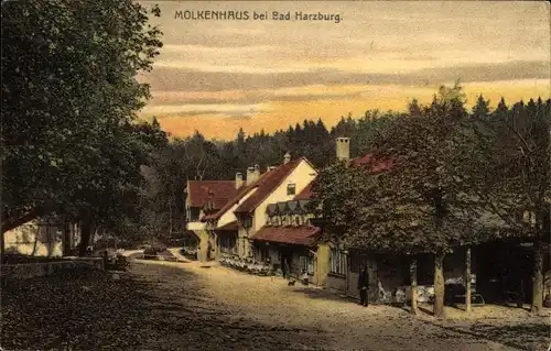 Ak Bad Harzburg in Niedersachsen, Seitenblick auf Molkenhaus, Wald