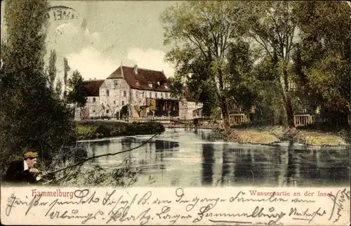 Ak Hammelburg in Unterfranken Bayern, Wasserpartie, Insel, Brücke