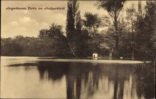 Ak Sangerhausen am Südharz, Partie am Stadtparkteich