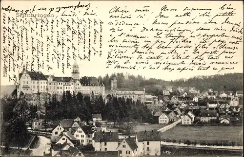 Ak Sigmaringen an der Donau Baden Württemberg, Teilansicht