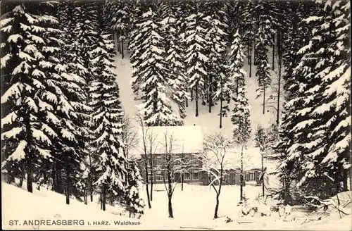 Ak Sankt Andreasberg Braunlage im Oberharz, Waldhaus, Winter