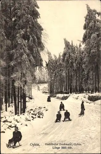 Ak Oybin in der Oberlausitz, Rodelbahn Hochwald, Winter, Schlitten