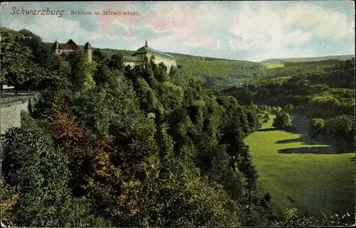 Ak Schwarzburg in Thüringen, Schloss, Hirschwiese