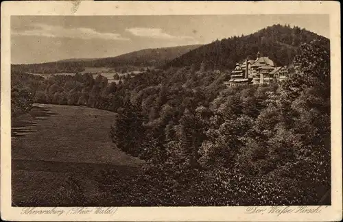 Ak Schwarzburg in Thüringen, Der Weiße Hirsch, Panorama