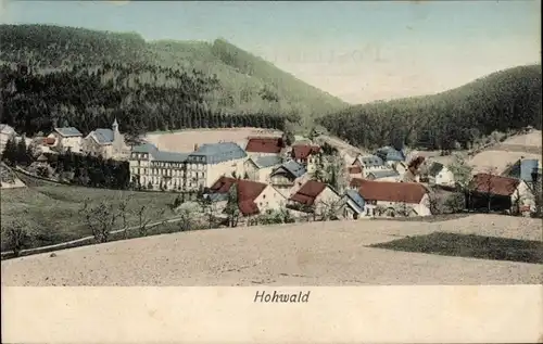 Ak Le Hohwald Elsass Bas Rhin, Gesamtansicht