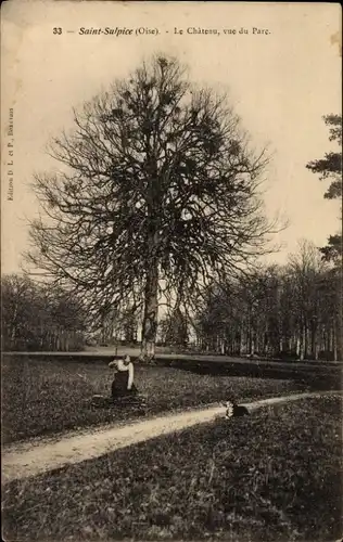 Ak Saint Sulpice Oise, Le Chateau, vue du Parc