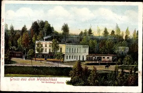 Ak Złotoryja Goldberg Schlesien, Waldschloss