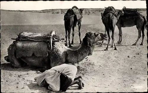 Ak Maghreb, Mann beim Gebet in der Wüste, Kamele