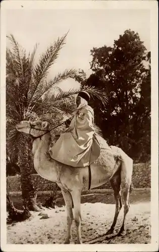 Ak Algerien, Reiter auf einem Kamel