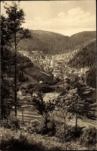 Ak Triberg Schwarzwald, Panorama