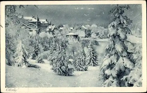 Ak Oberhof im Thüringer Wald, Winter, Jagdschloss