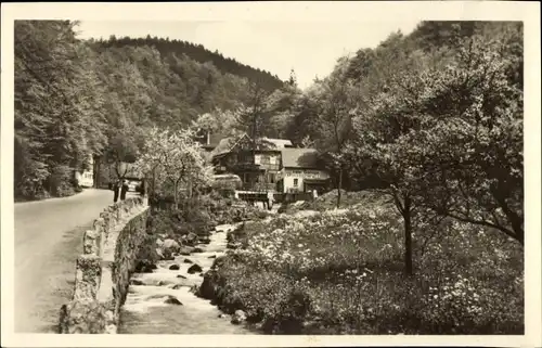 Ak Trusetal in Thüringen, Gasthaus zum Trusentaler Wasserfall, Fluss