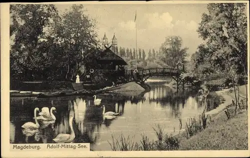 Ak Magdeburg an der Elbe, Adolf-Mittag-See, Holzbrücke