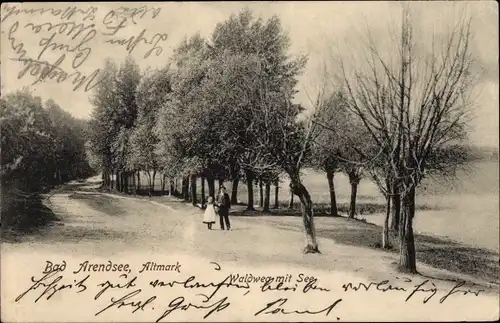 Ak Arendsee in der Altmark, Waldweg mit See