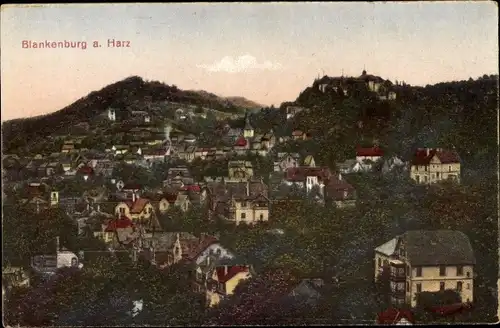 Ak Blankenburg am Harz, Panorama