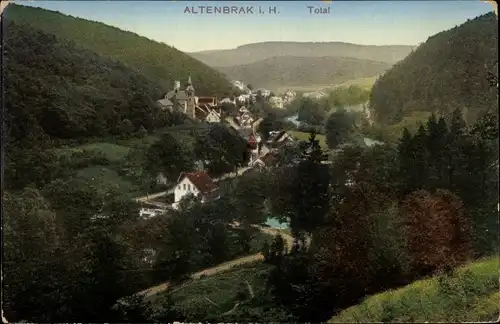 Ak Altenbrak Thale im Harz, Gesamtansicht