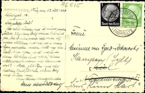 Ak Sonneberg in Thüringen, Panorama