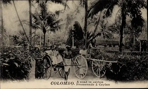 Ak Colombo Ceylon Sri Lanka, Promenade