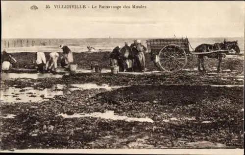 Ak Villerville Calvados, Muschelsammler