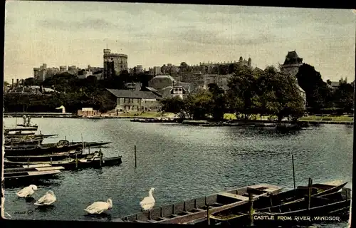 Ak Windsor Berkshire England, Windsor Castle, Schwäne, River