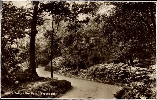 Ak Trossachs Schottland, Where twines the Path