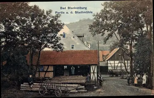 Ak Bad Blankenburg in Thüringen, Stadtmühle, Baumstämme, Leiterwagen, Junge