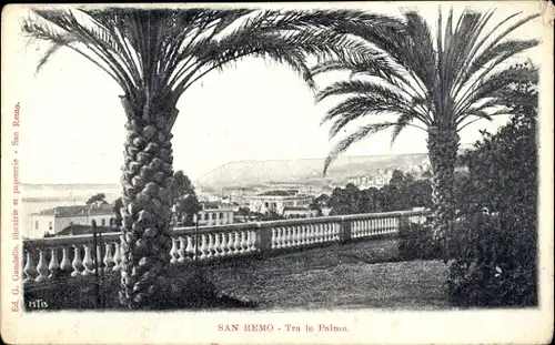 Ak San Remo Ligurien, Stadt von den Palmen aus gesehen