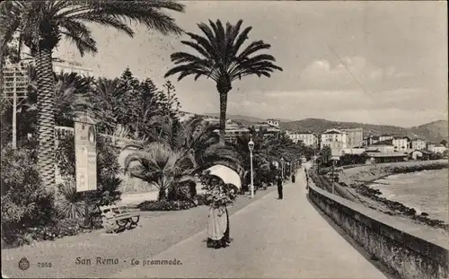 Ak San Remo Ligurien, Promenade, Palme