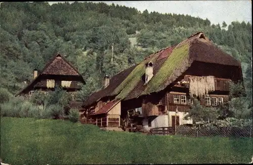 Ak Gutachtal Schwarzwald, Nenke und Ostermaier Nr. 1025, Schwarzwaldhaus