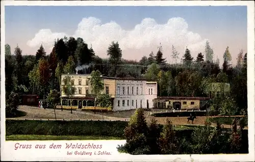 Ak Złotoryja Goldberg Schlesien, Gastwirtschaft Waldschloss