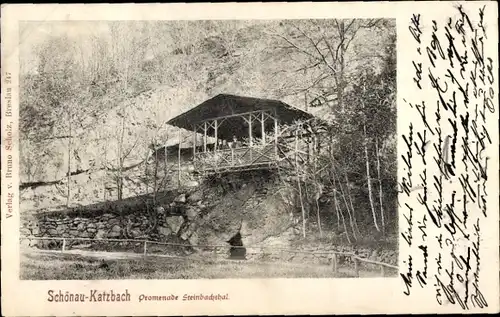 Ak Świerzawa Schönau an der Katzbach Schlesien Polen, Promenade Steinbachtal