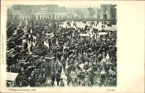 Ak Utrecht Niederlande, Palmpaardenmarkt, 1899