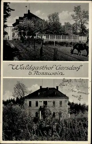 Ak Gersdorf bei Roßwein Striegistal Mittelsachsen, Waldgasthof Gersdorf, Pferd