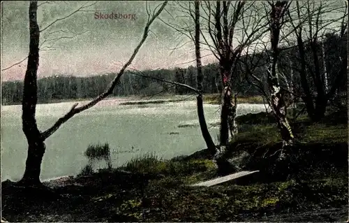 Ak Skodsborg Dänemark, Birken am Strand