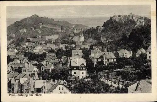 Ak Blankenburg am Harz, Totalansicht der Stadt mit Schloss