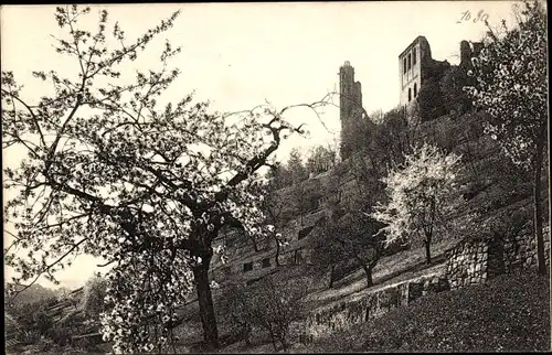 Ak Bad Dürkheim am Pfälzerwald, Ruine Kloster Limburg