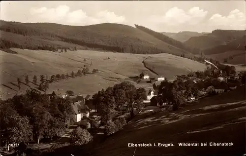 Ak Wildenthal Eibenstock im Erzgebirge, Panorama