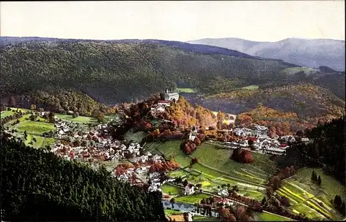 Ak Schwarzburg in Thüringen, Panorama vom Trippstein aus