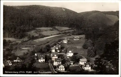 Ak Schwarzburg im Schwarzatal Thüringen, Buschbachtal